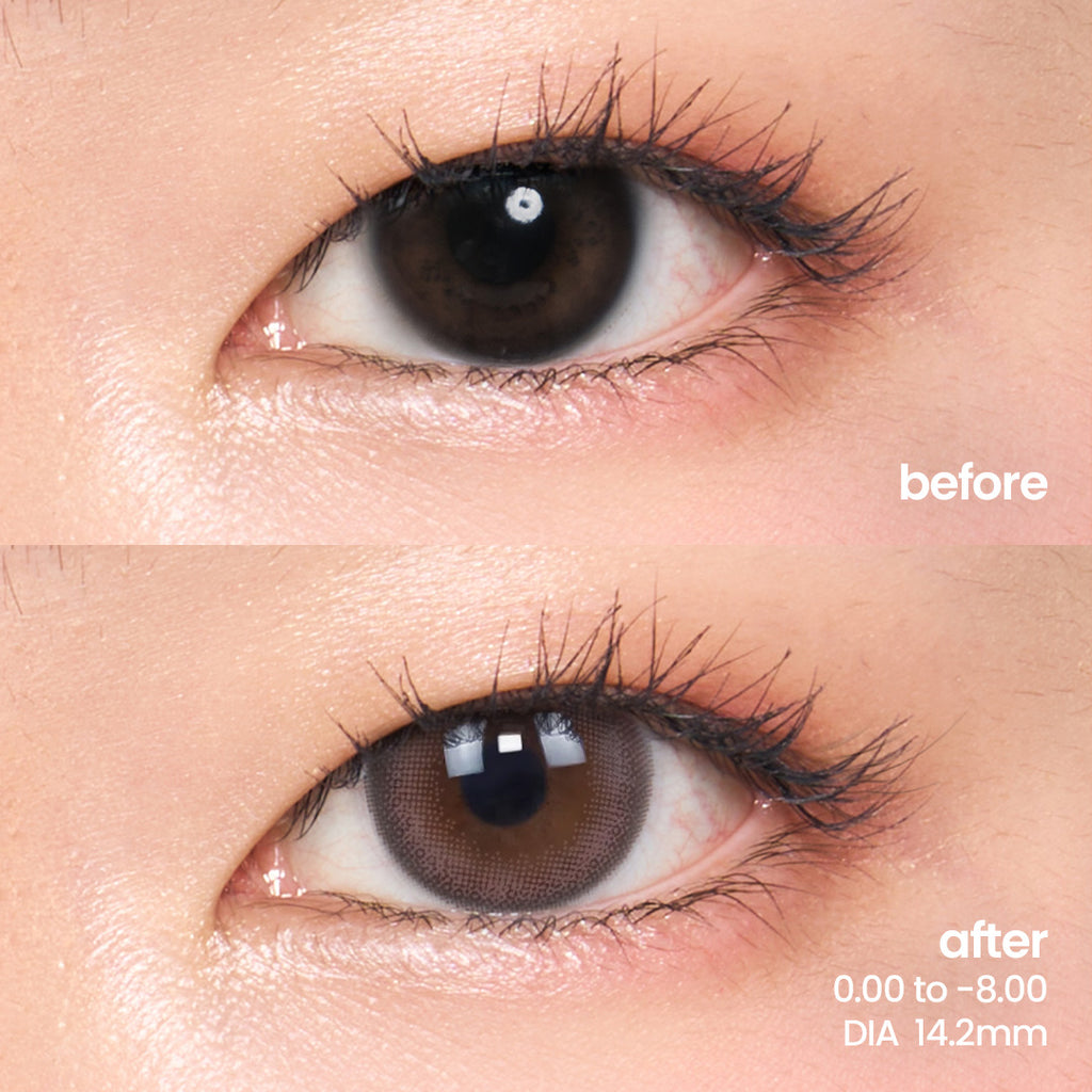 Camellia Brown (1 Month - 2 pcs)