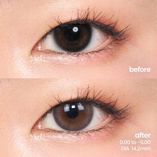 Camellia Brown (1 Month - 2 pcs)