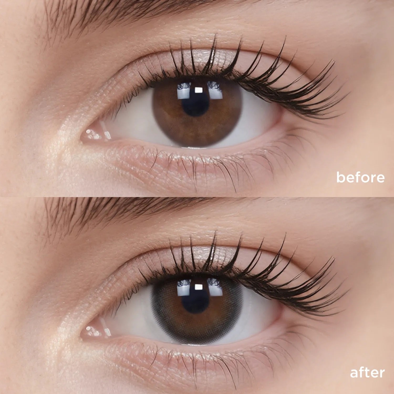 Polar Day (1 Day - 10 pcs)