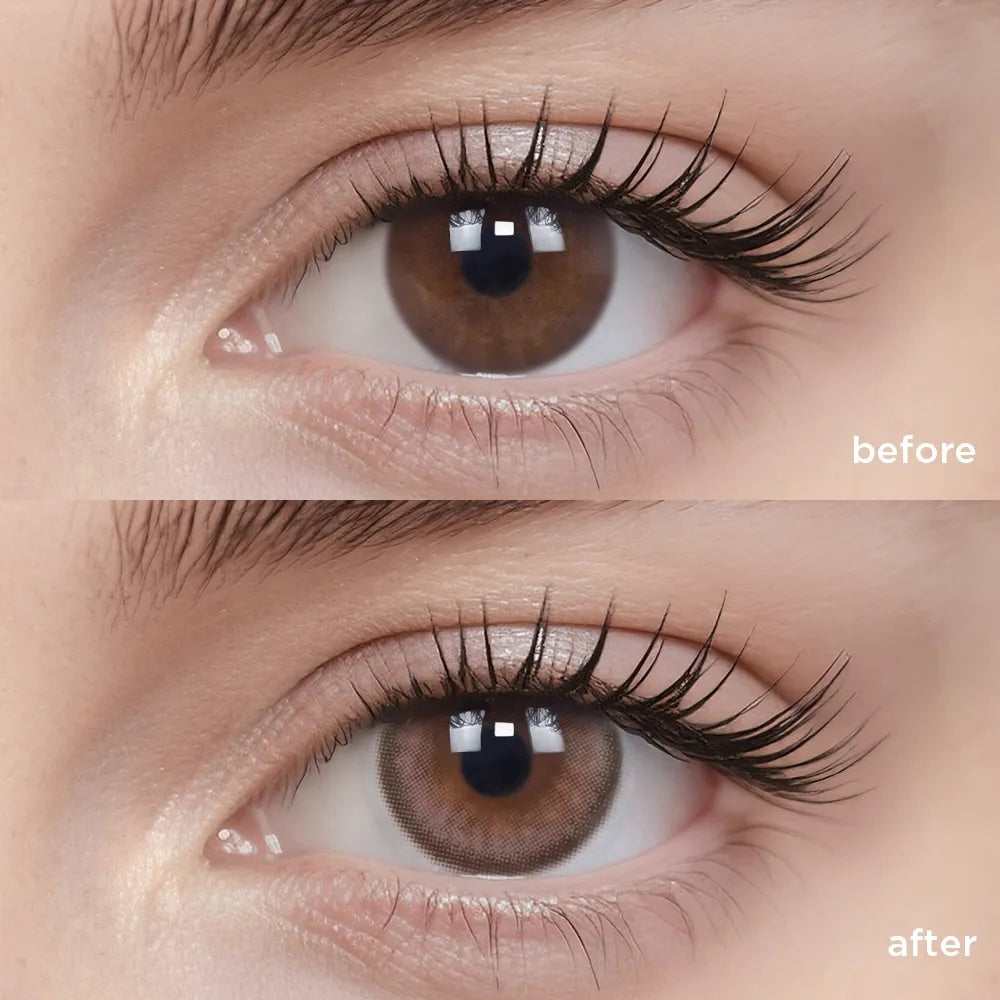 Chestnut Baked Cheese (6 Months - 1 pc)