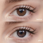 Midnight Ballet (1 Day - 10 pcs)