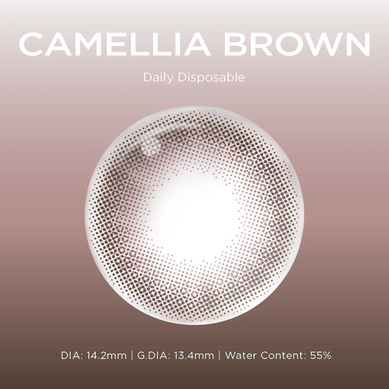 Camellia Brown (1 Day - 10 pcs)