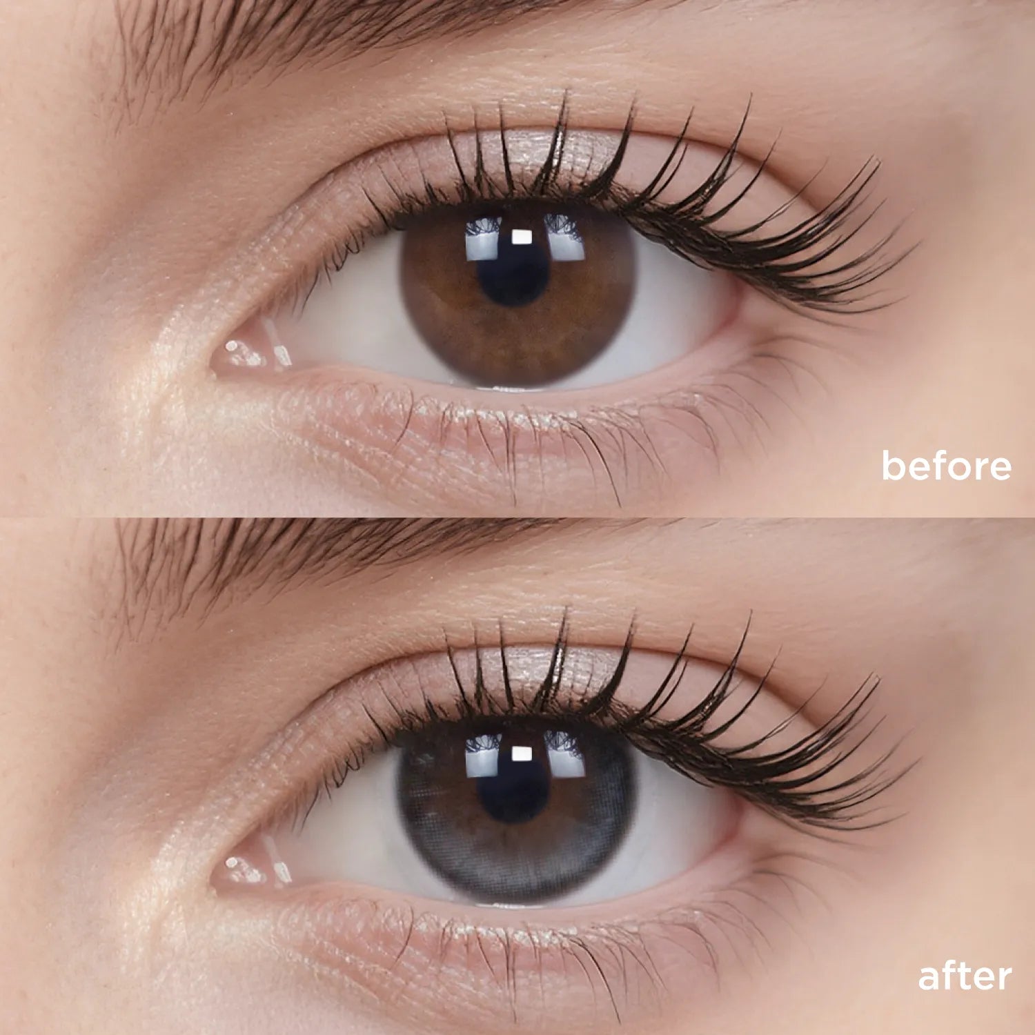 Shadowlight (6 Months - 1 pc)