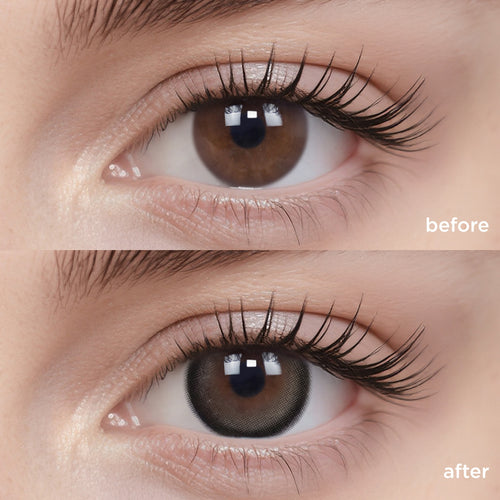 Baby Black Beans (6 Months - 1 pc)