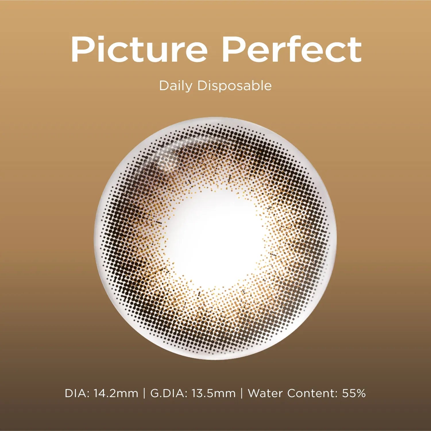 Picture Perfect (1 Day - 10 pcs)