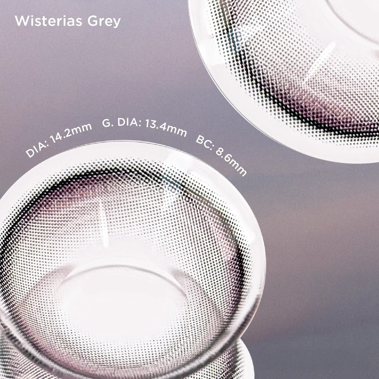 Wisterias Grey (1 Day - 10 pcs)