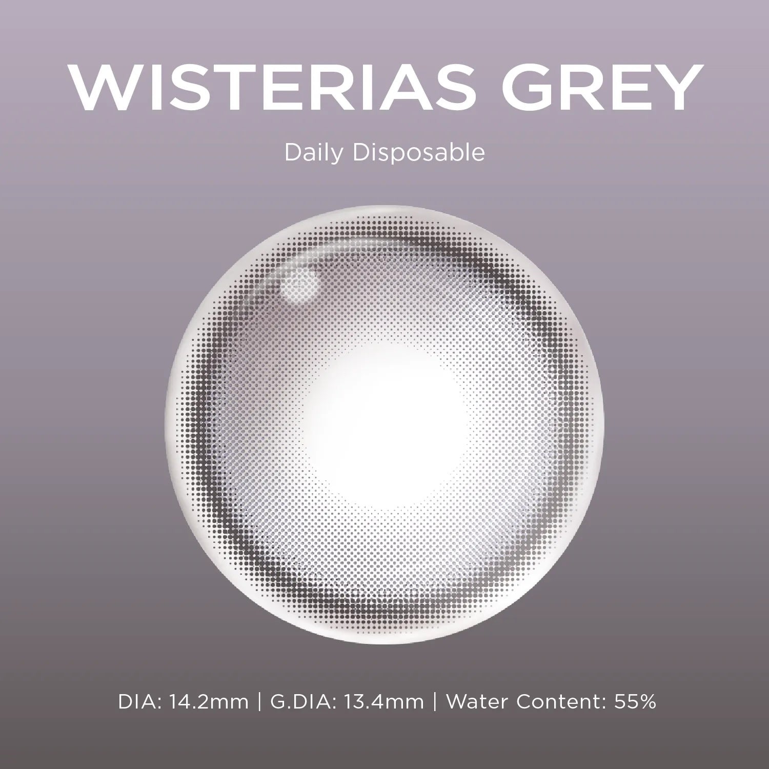 Wisterias Grey (1 Day - 10 pcs)