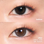 Foamy Enlarge (1 Day - 10 pcs)