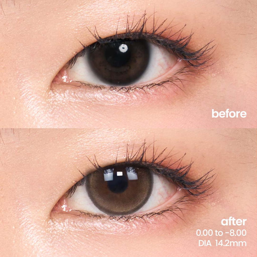 Fresh Brown (Daily - 10 pcs)