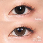 Fresh Brown (Daily - 10 pcs)