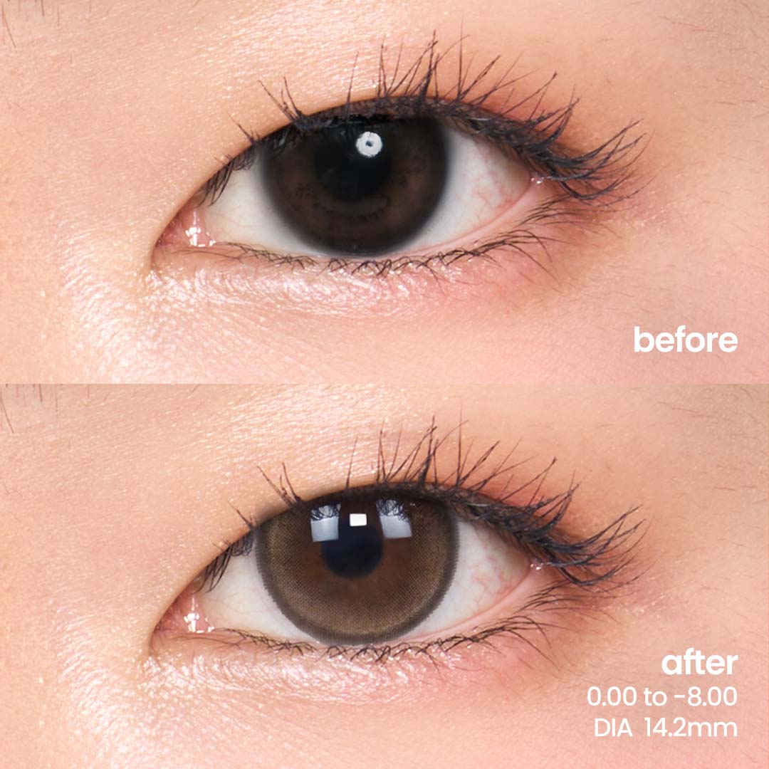 Fresh Brown (Daily - 10 pcs)