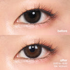 Picture Perfect (1 Day - 2 pcs)