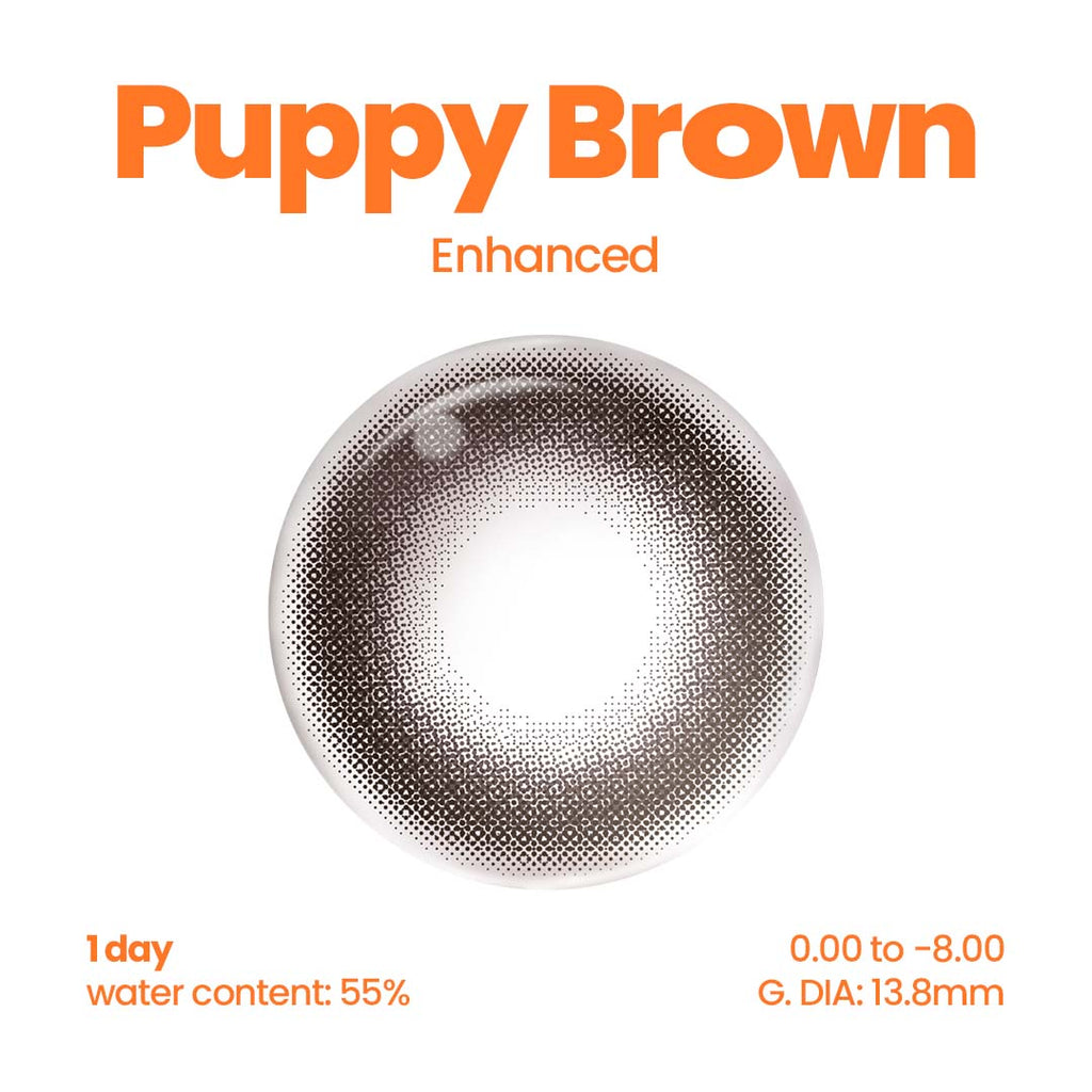 Puppy Brown (1 Day - 10 pcs)