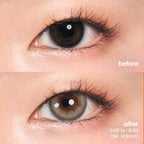 Sandstorm (1 Day - 10 pcs)