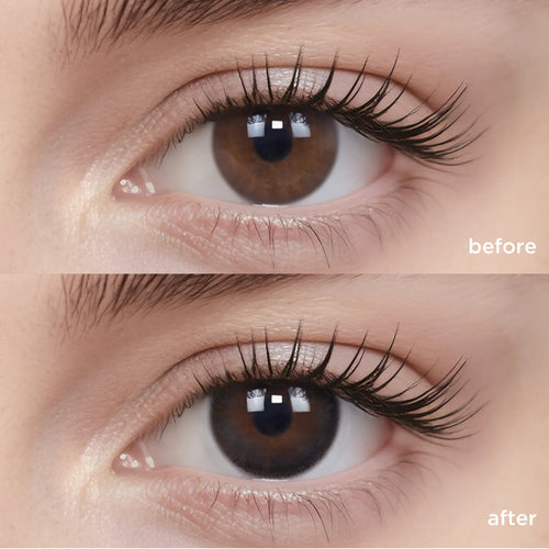 Black Peach Iced Tea (6 Months - 1 pc)