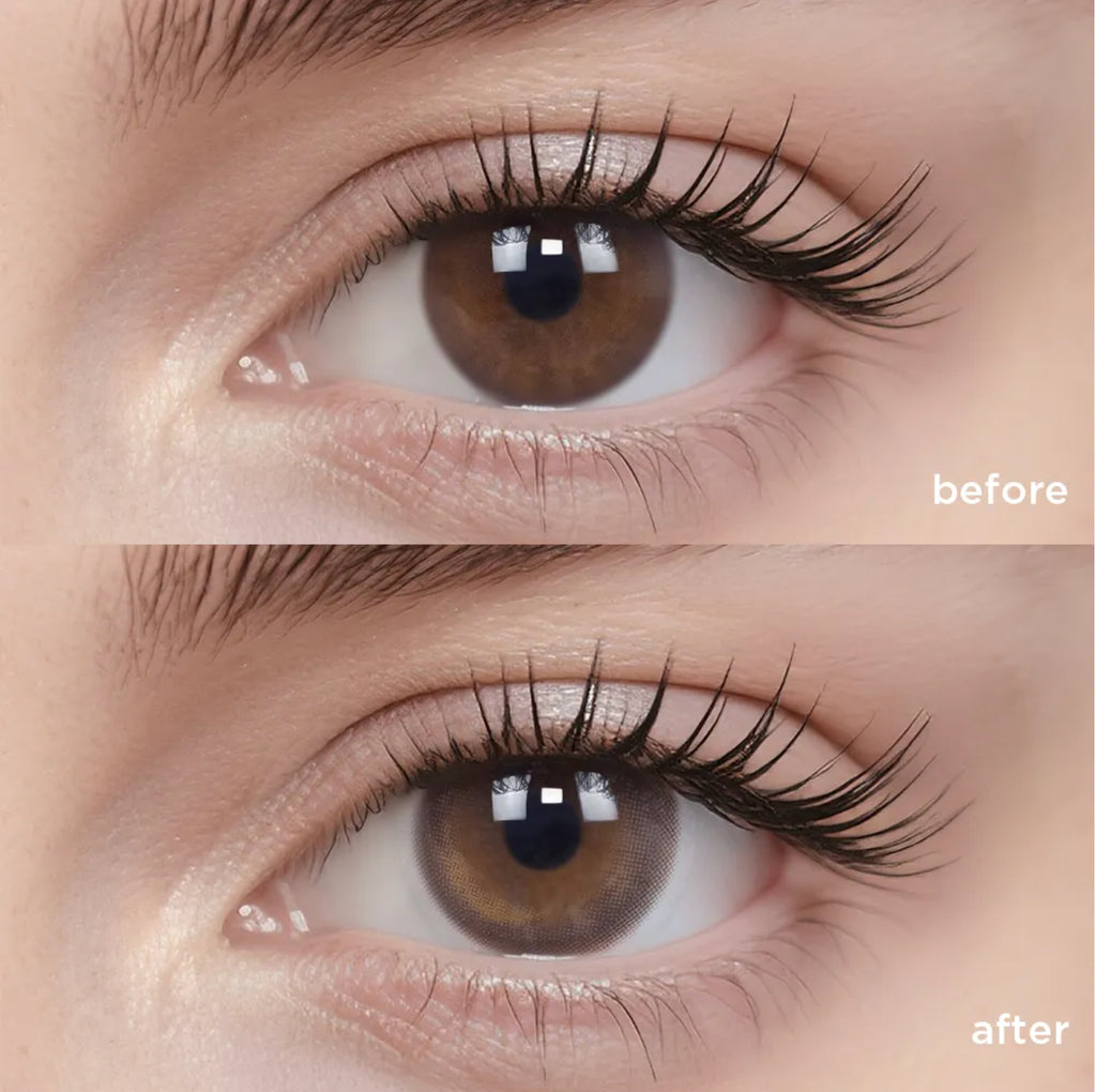 Cold Brew Oolong (6 Months - 1 pc)