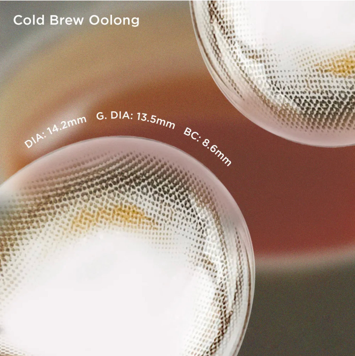 Cold Brew Oolong (6 Months - 1 pc)