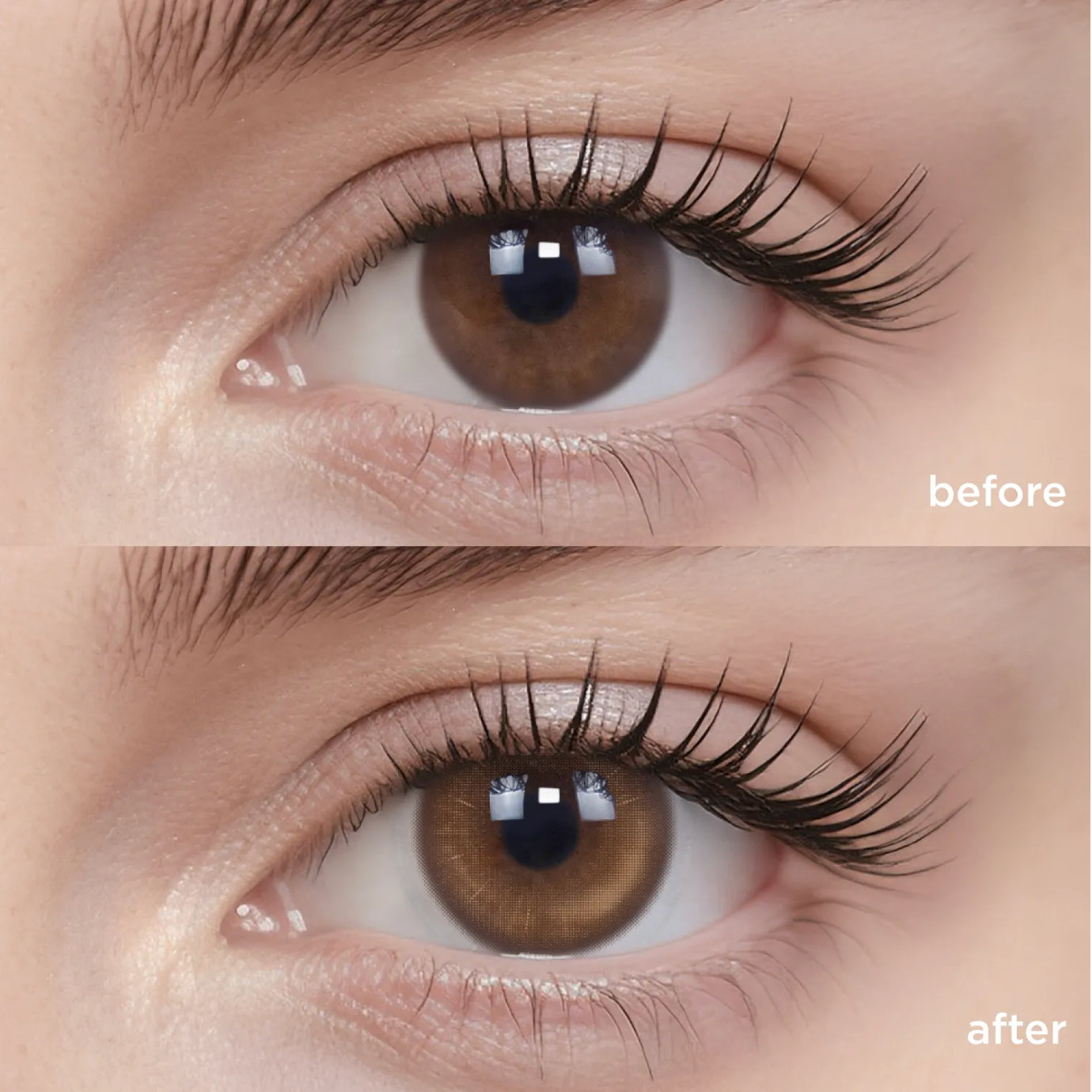 Iced Shaken Apricot Tea (6 Months - 1 pc)