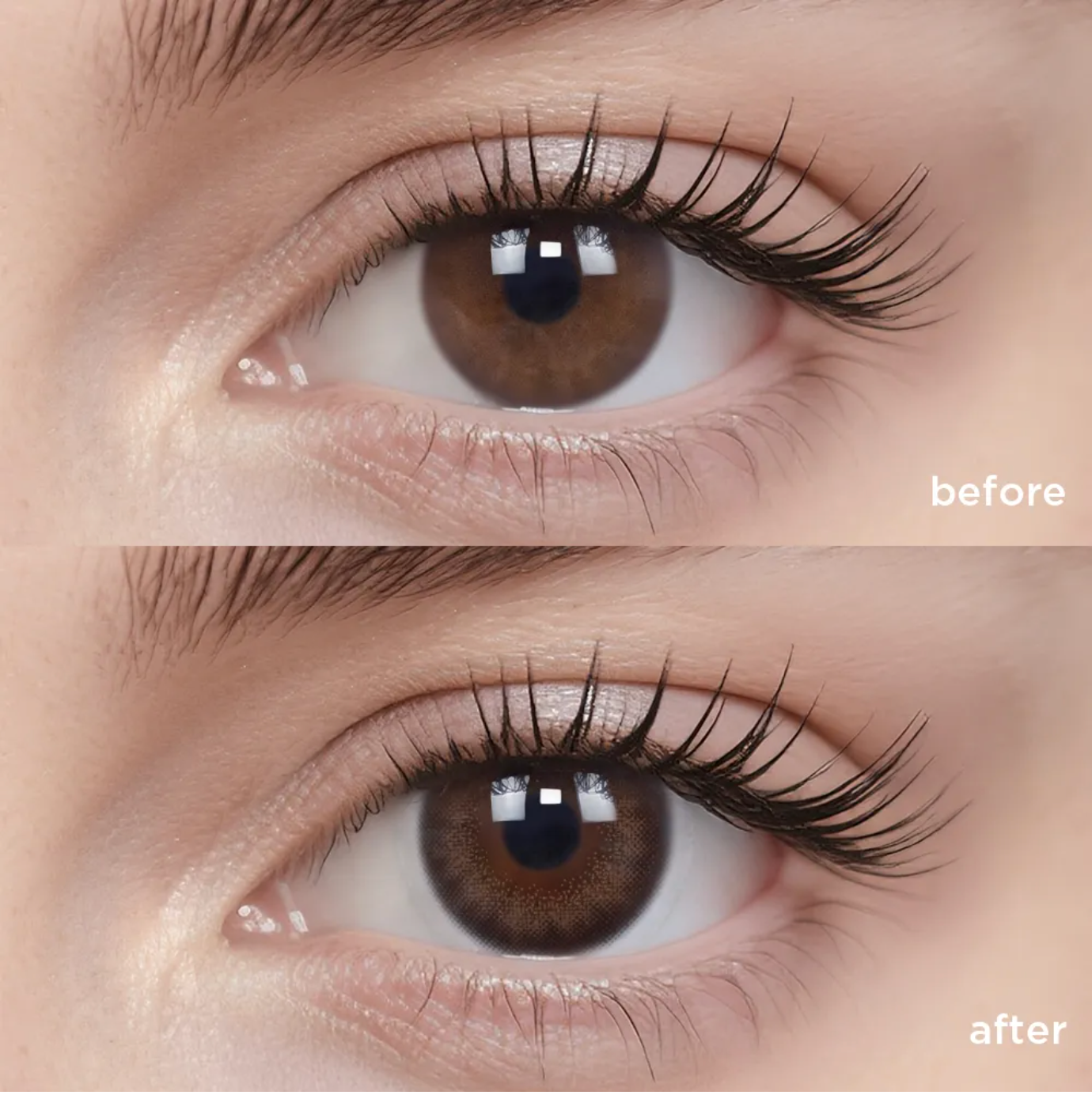 Picture Perfect (1 Day - 10 pcs)