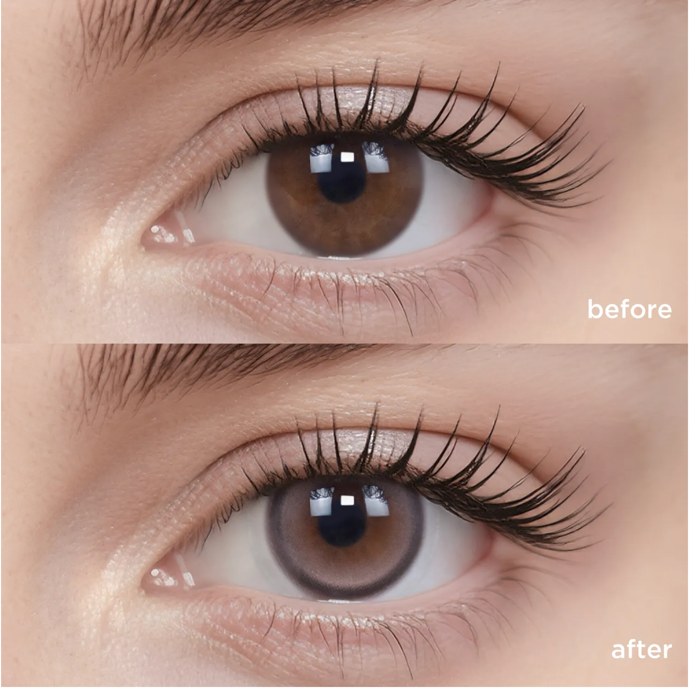 Lucky Peanut (6 Months - 1 pc)