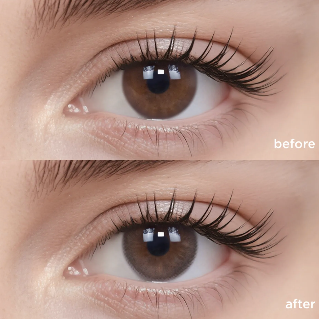 Coco Brown (Daily - 10 pcs)