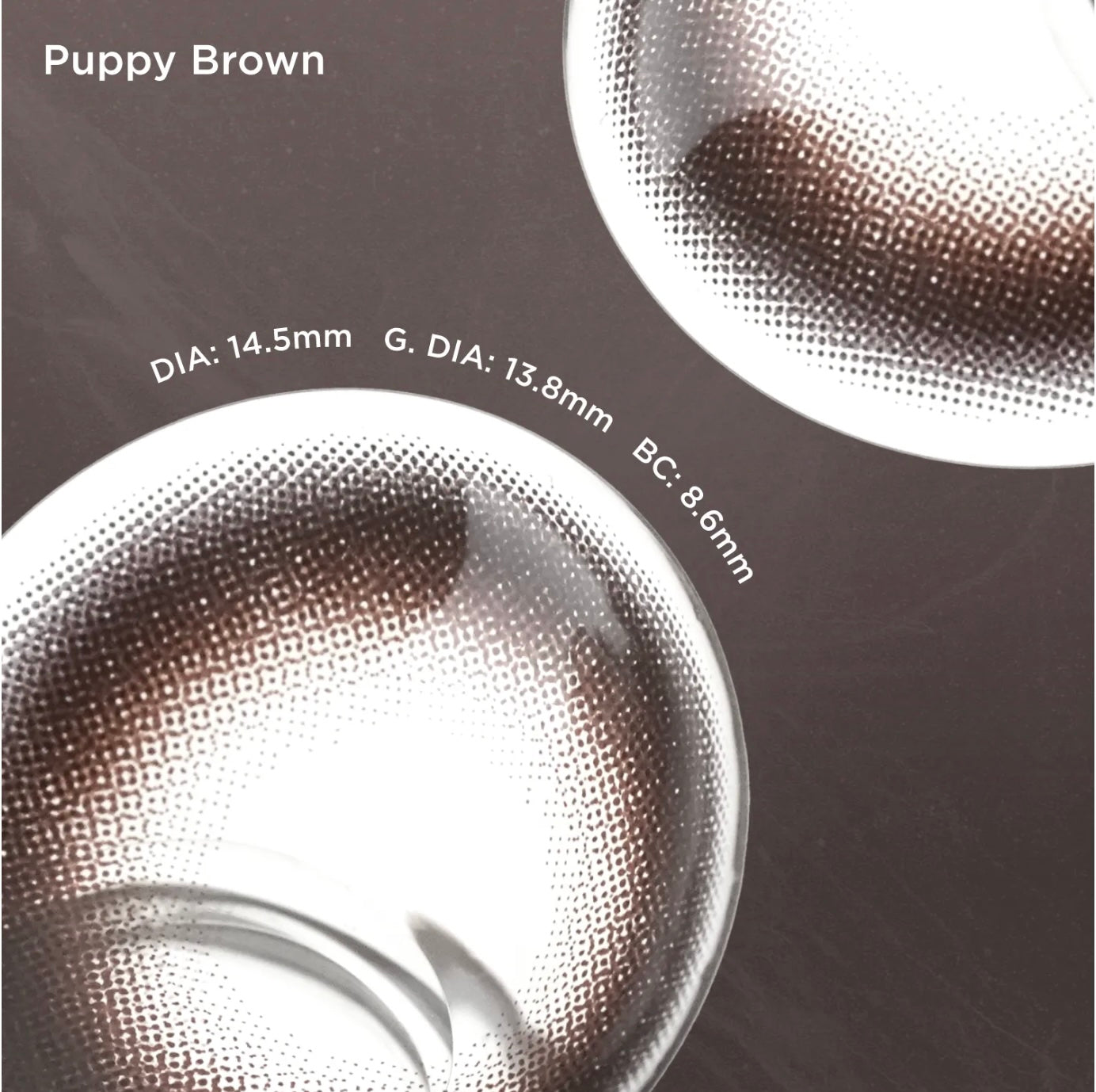Puppy Brown (1 Day - 10 pcs)
