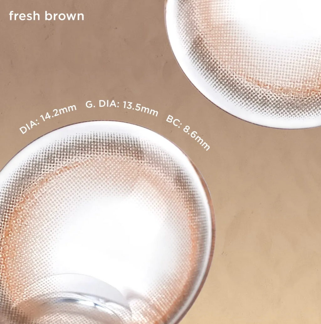 Fresh Brown (Daily - 10 pcs)