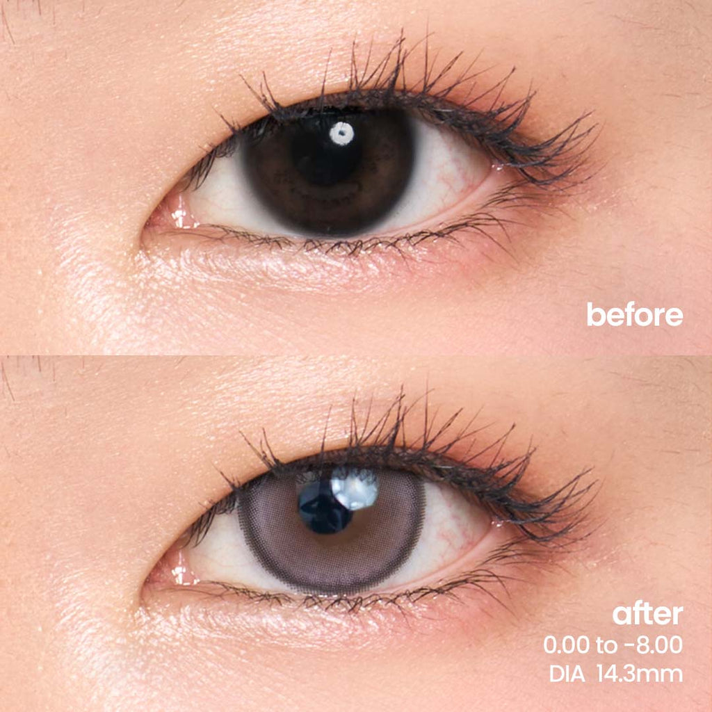 Wisterias Grey (1 Day - 10 pcs)