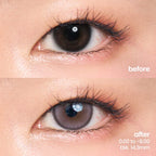 Wisterias Grey (1 Day - 10 pcs)