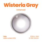 Wisterias Grey (1 Day - 10 pcs)