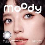 Mirror Gray (1 Day - 10 pcs)